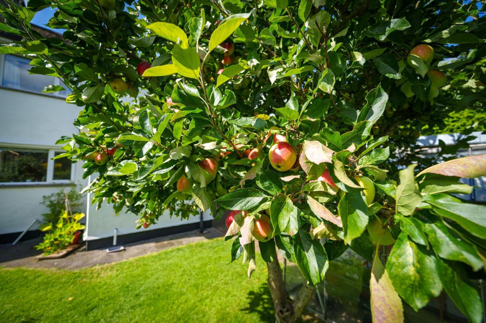Apple Byrd - Short Stroll Into Kendal Town Centre Villa Eksteriør bilde